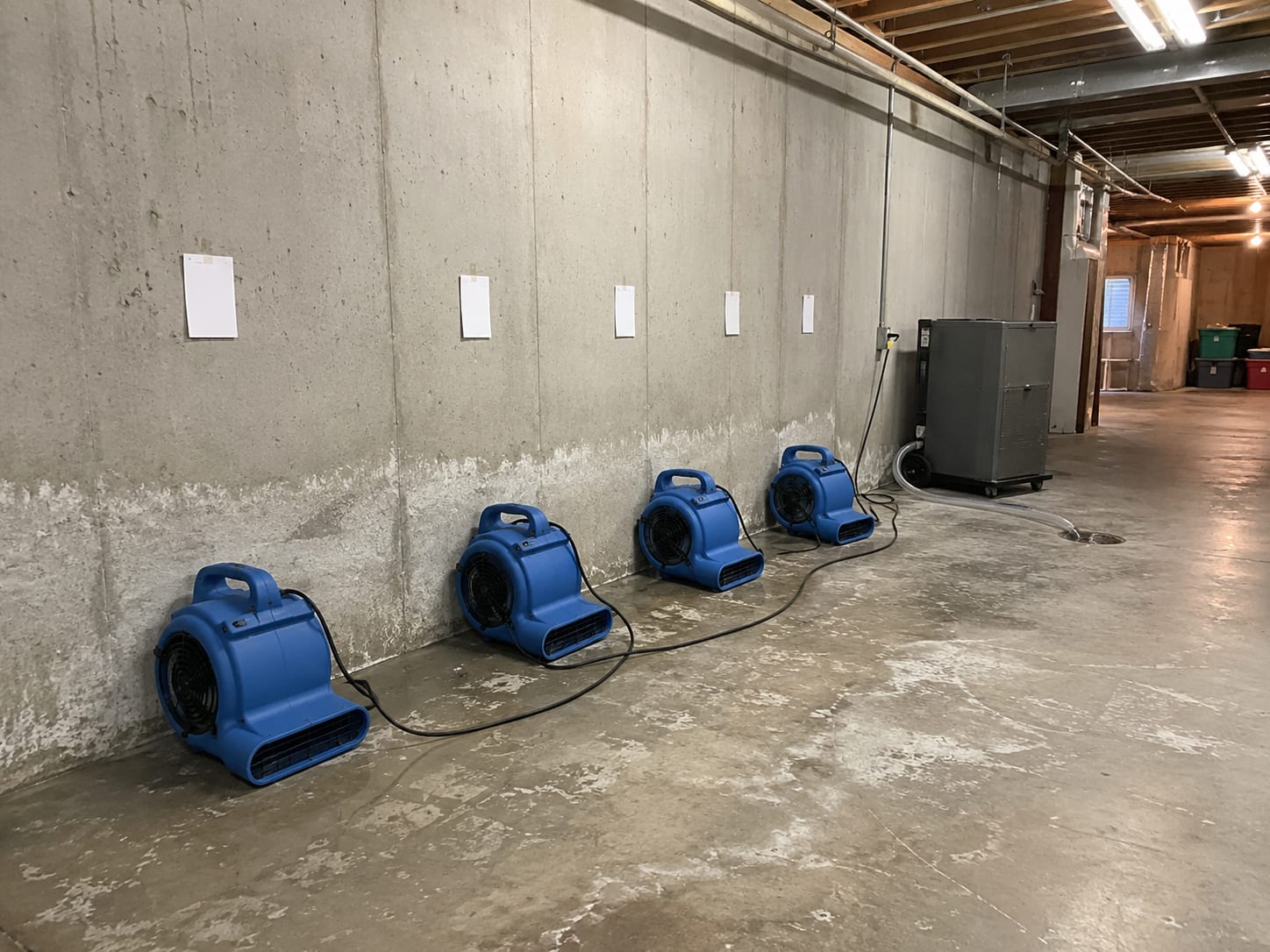 Row of industrial air movers and a large commercial dehumidifier positioned along a bare concrete basement wall with drying moisture readings taped to wall, no people present