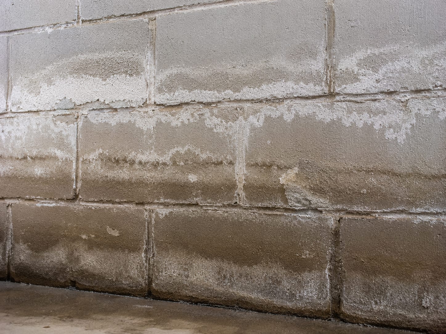 Close-up of a concrete block basement wall showing white efflorescence mineral deposits and water stain tide marks indicating moisture intrusion before or during drying treatment