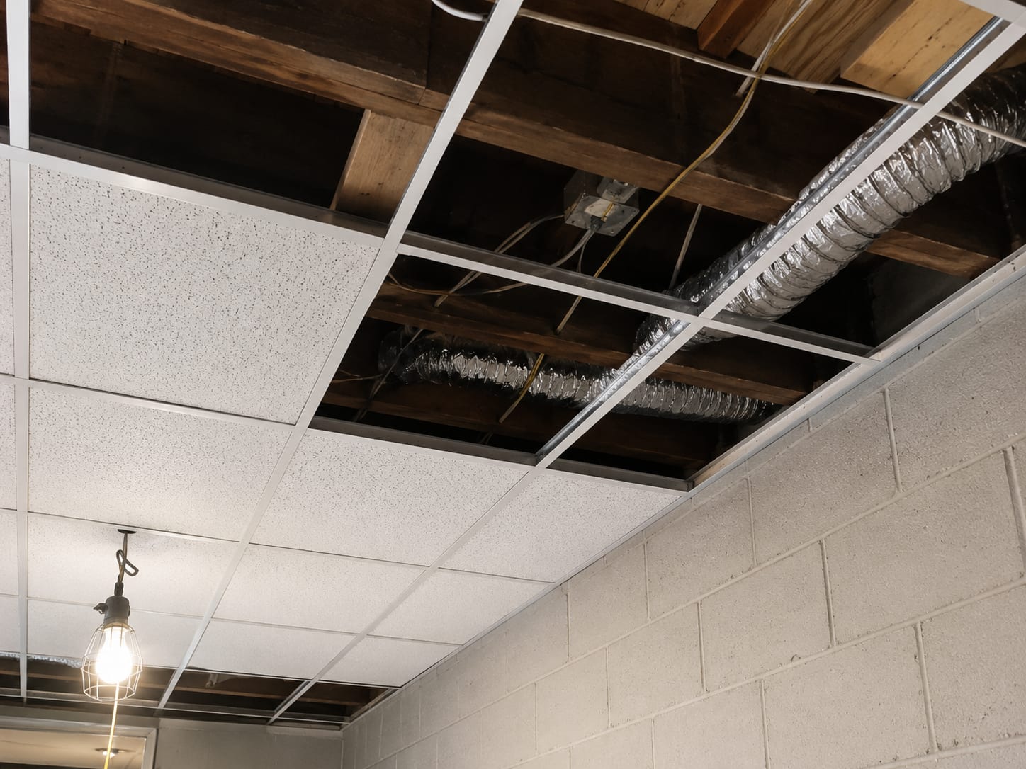 Suspended drop ceiling grid being installed in a basement with white acoustic tiles set into aluminum T-bar tracks above a concrete block wall