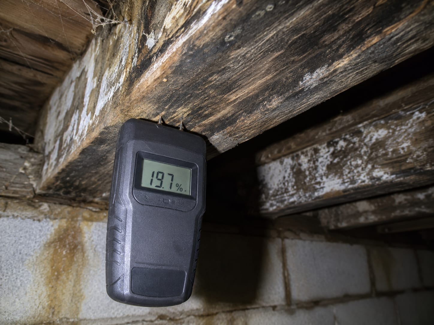 Moisture meter probe inserted into wooden floor joist in an unfinished basement ceiling, displaying a reading on a small digital screen, with visible dark mold discoloration on adjacent framing lumber and concrete block wall behind