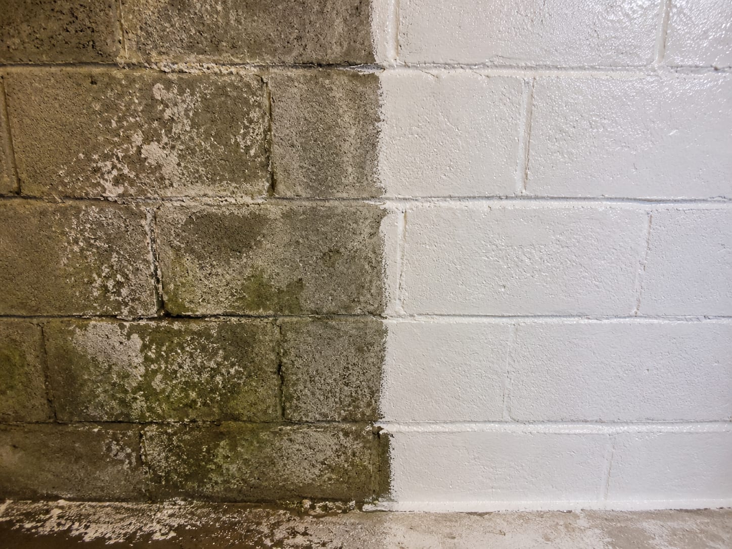 Close-up of a concrete block basement wall showing a clear demarcation between an untreated section with dark mold staining and discoloration on the left and a freshly encapsulant-coated bright white treated section on the right