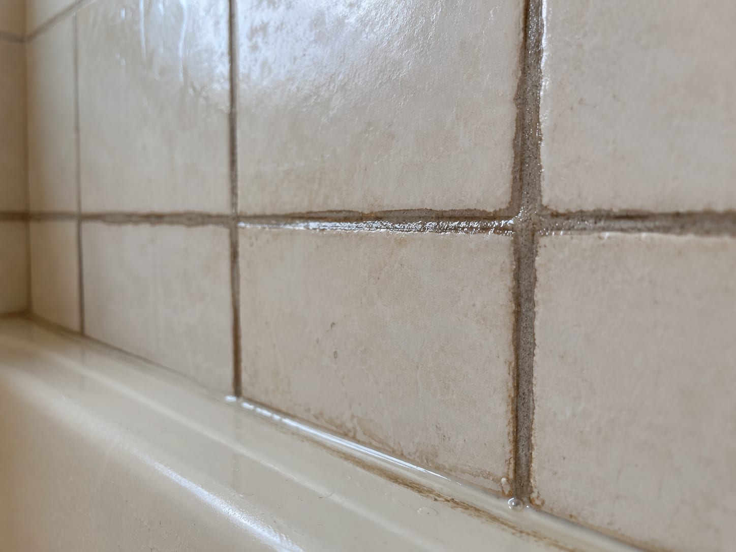 Bathroom tile grout lines and caulk joints visibly coated with antimicrobial treatment solution after professional mold remediation application
