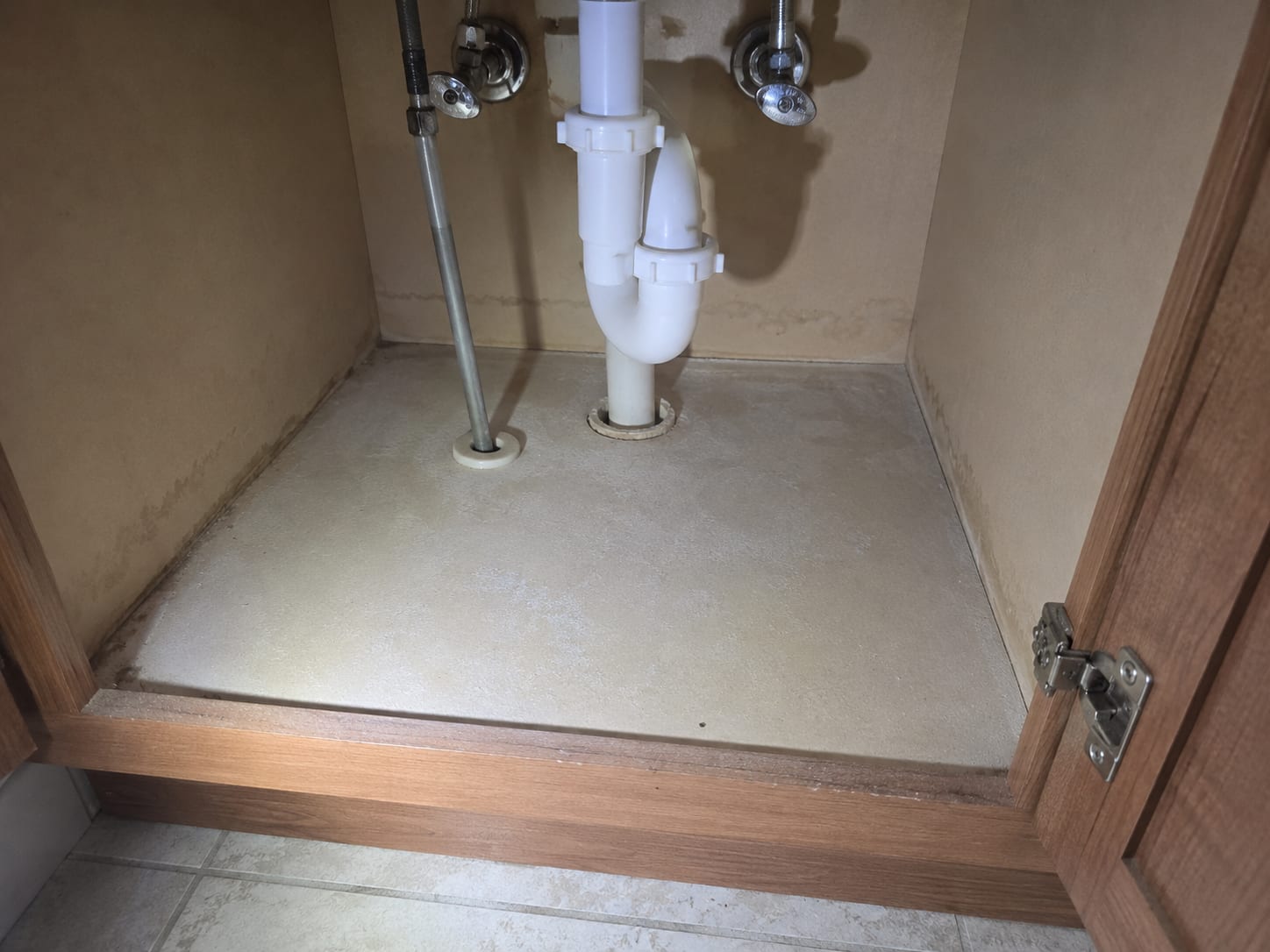 Open under-sink vanity cabinet in a residential bathroom showing cleaned wood interior and treated plumbing area after mold removal