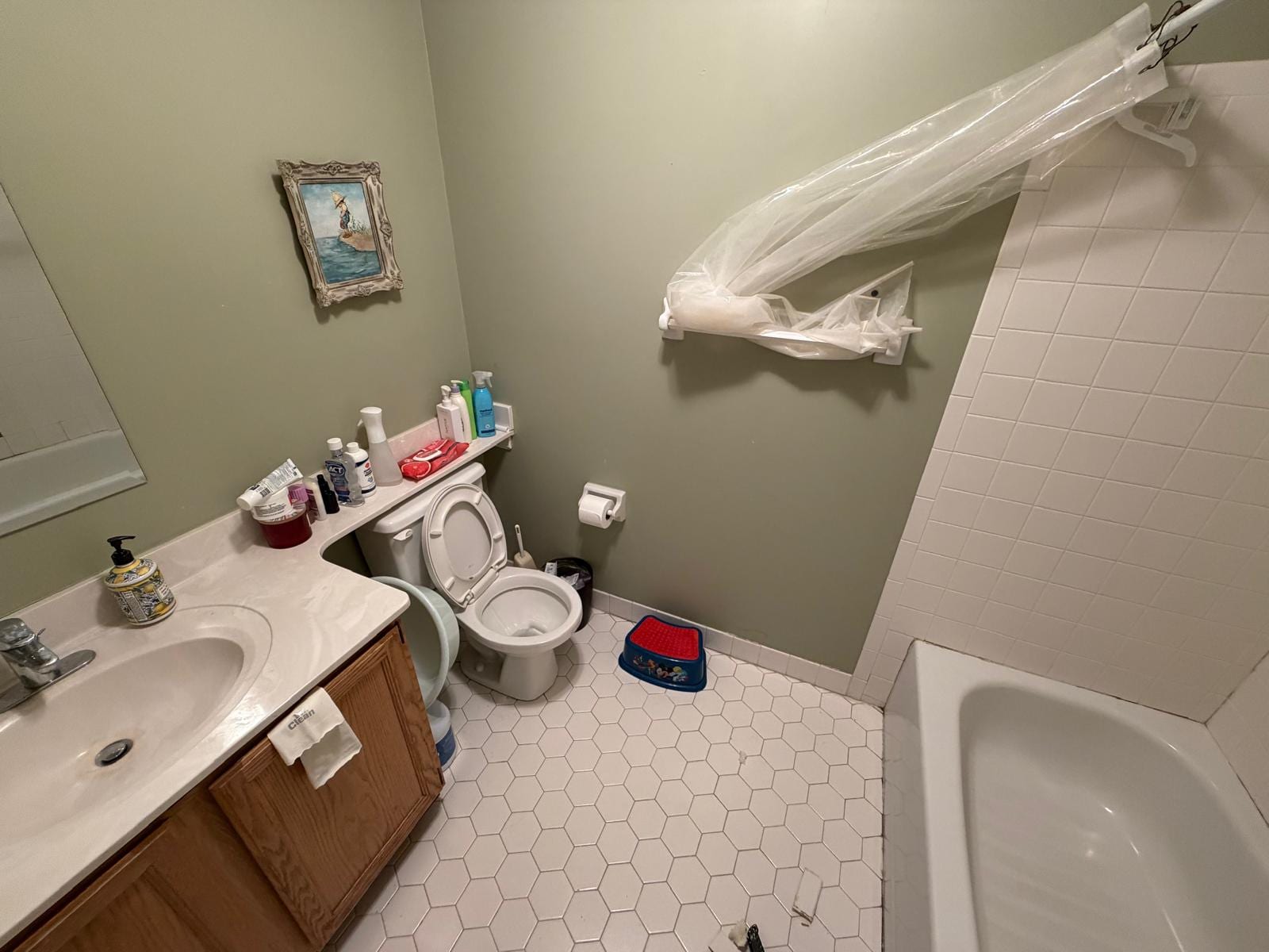 Princeton Bathroom Remodeling 1, Bathroom, before