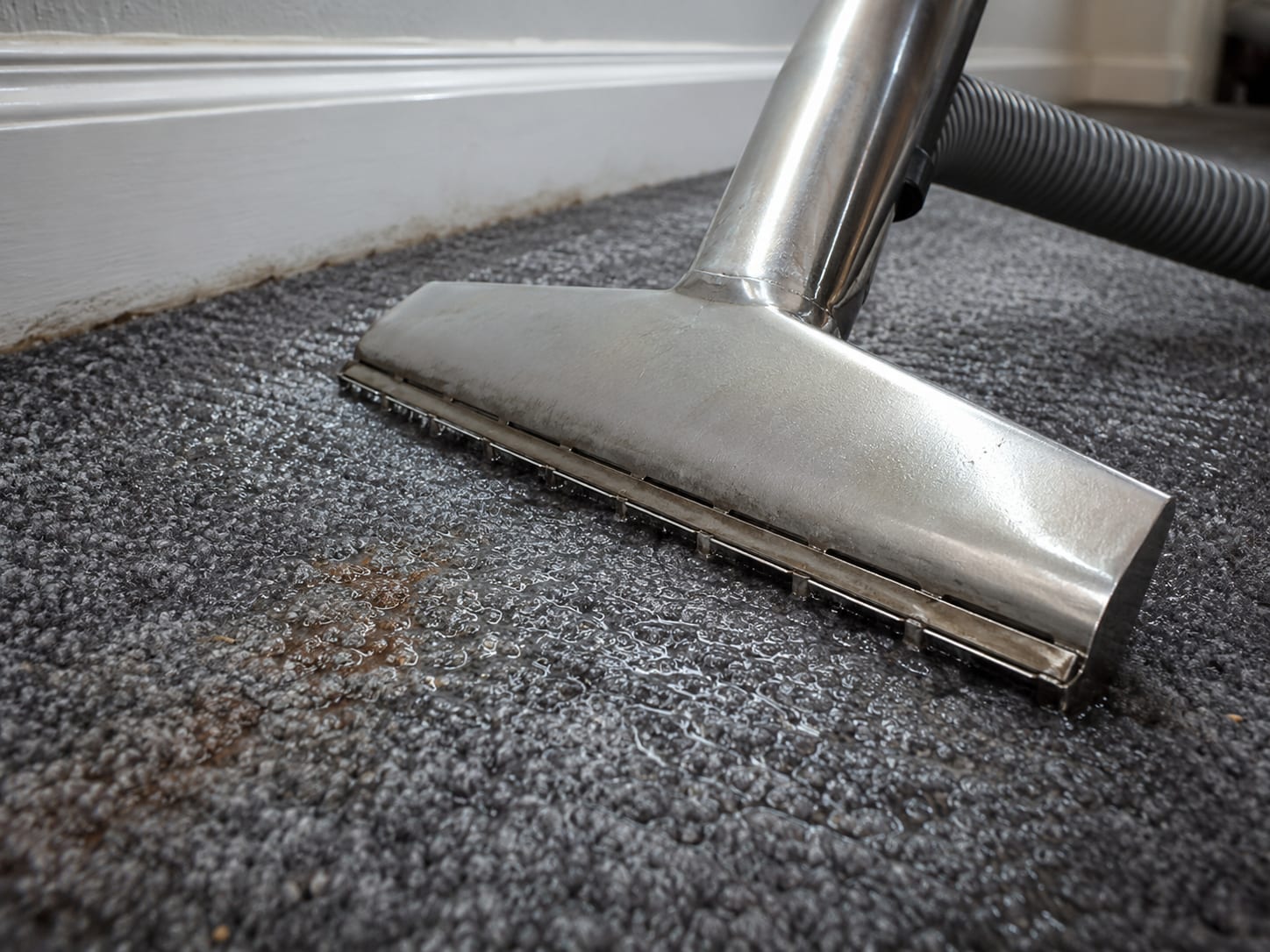Close-up of a stainless steel extraction wand pressed flat against soaked dark grey carpet with visible moisture being drawn from the fibers