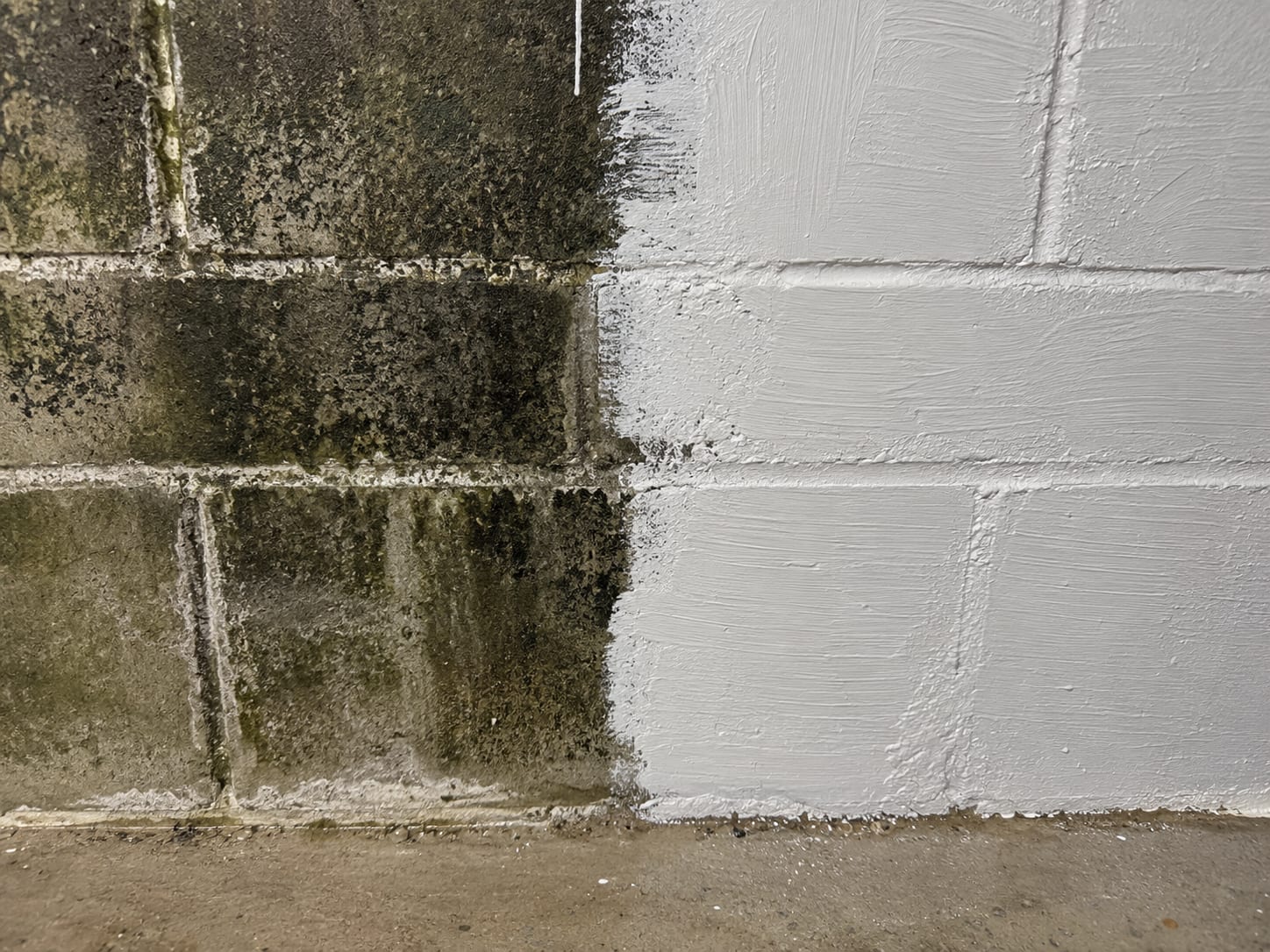 Close-up of a commercial concrete masonry block wall with visible mold staining partially treated with white antifungal encapsulant coating