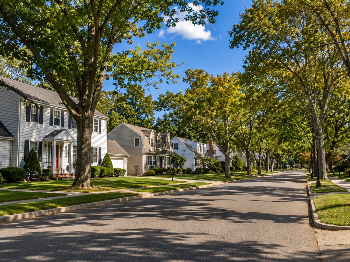 Tree-lined central New Jersey residential street with colonial and cape-style single-family homes under a clear sky