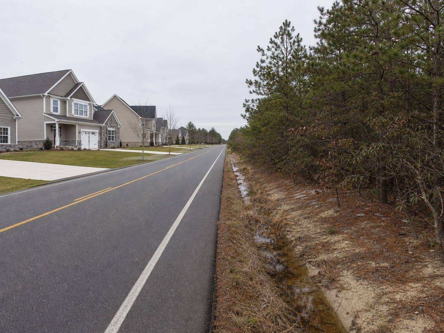A straight two lane road in Barnegat, New Jersey with recently built subdivision lawns on one side and dense pitch pine and scrub oak Pinelands closing the other