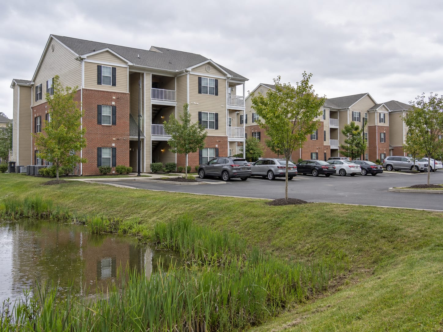 Three storey garden apartment buildings in brick and siding around a parking court, with a grassy retention basin with reeds beside the lot, in Bordentown Township, New Jersey