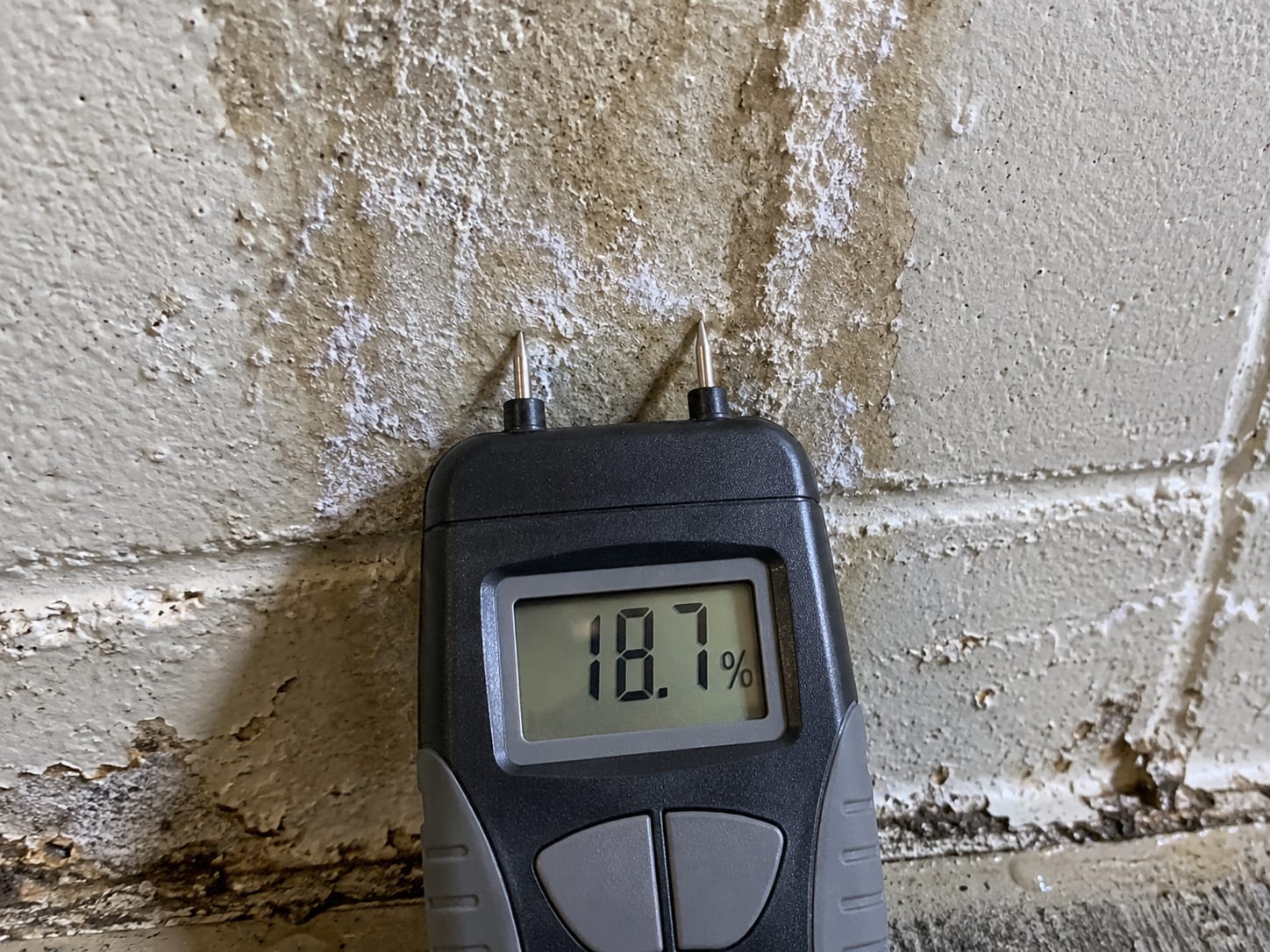 A digital pin-type moisture meter probe pressed against a damp basement wall surface showing an elevated reading on its display
