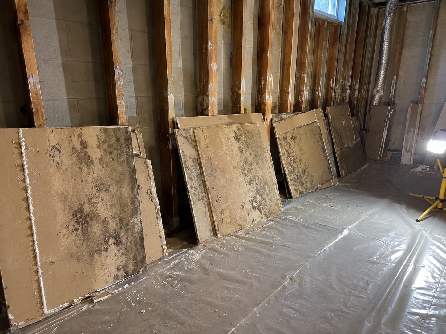 Removed sections of mold-affected drywall stacked against a basement wall exposing treated wood framing in a New Jersey home