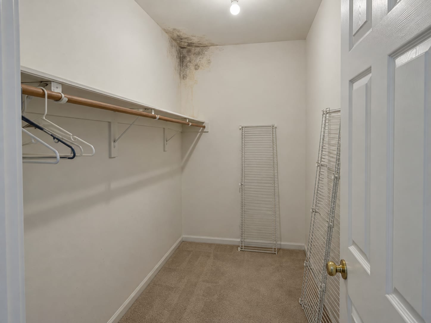 A closet corner with dark growth on the drywall ceiling and upper wall beside emptied shelves, in a Forsgate, New Jersey house