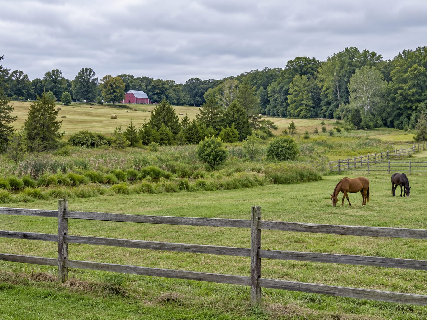 Open preserved farmland with a hedgerow, a wet swale of rushes and a wooded stream corridor beyond, in Harlingen, New Jersey