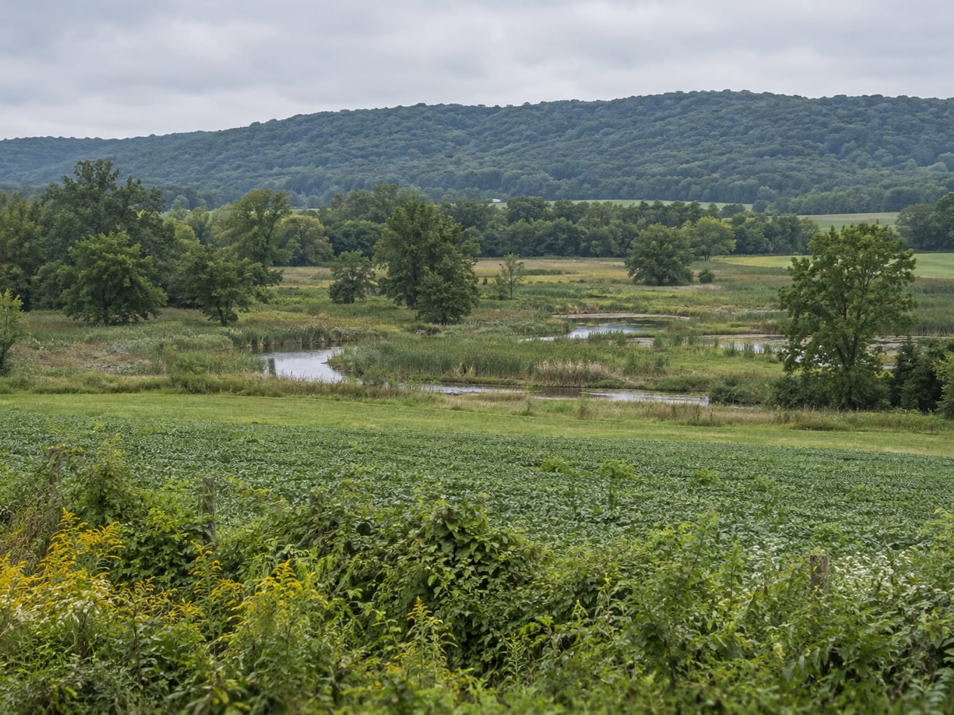 A wooded ridge rising beyond open fields and a wet low field with a small stream, in Montgomery Township, New Jersey