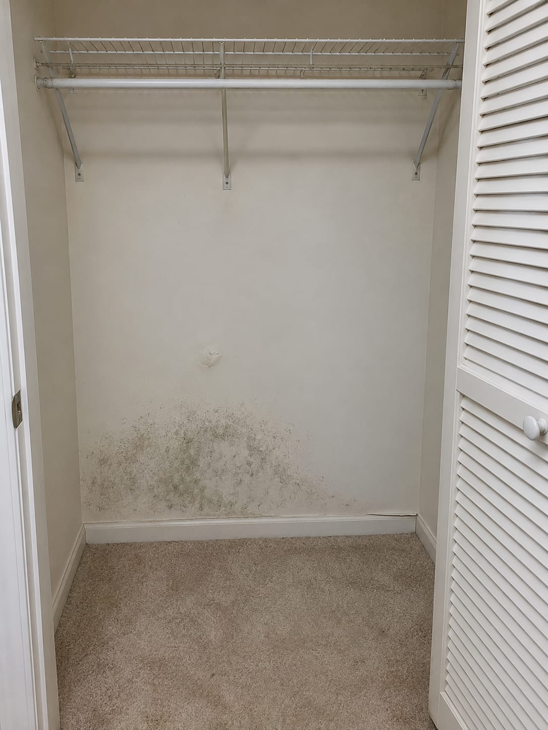 The back wall of an empty bedroom closet with dark spotting on white drywall, a wire shelf and a baseboard lifting at the bottom, in a North Brunswick, New Jersey townhouse