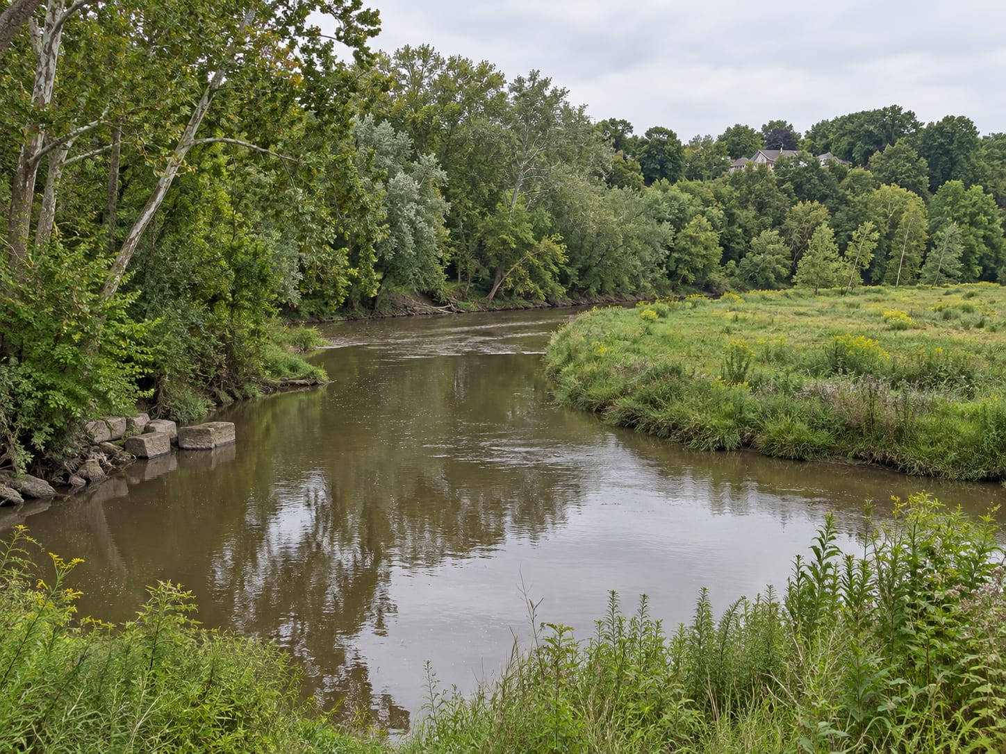 A slow river bending past a wooded floodplain with low wet meadow, at the edge of Rocky Hill, New Jersey