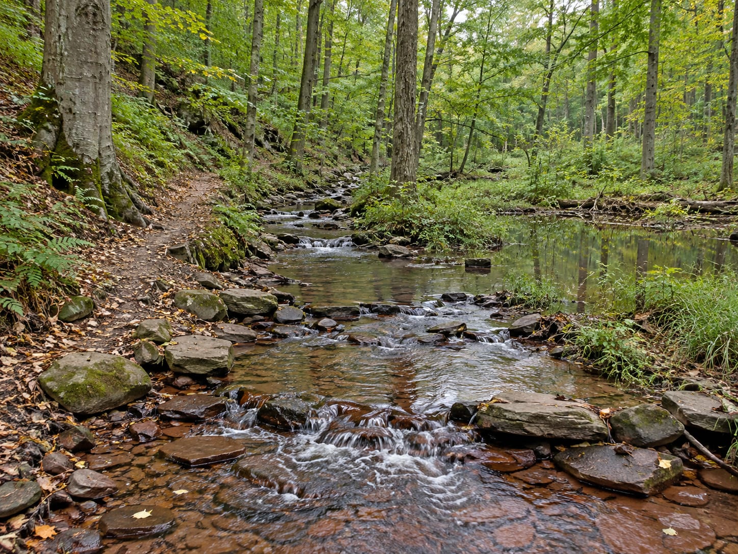 A rocky brook running through mature woodland with a footpath along it, in Skillman, New Jersey