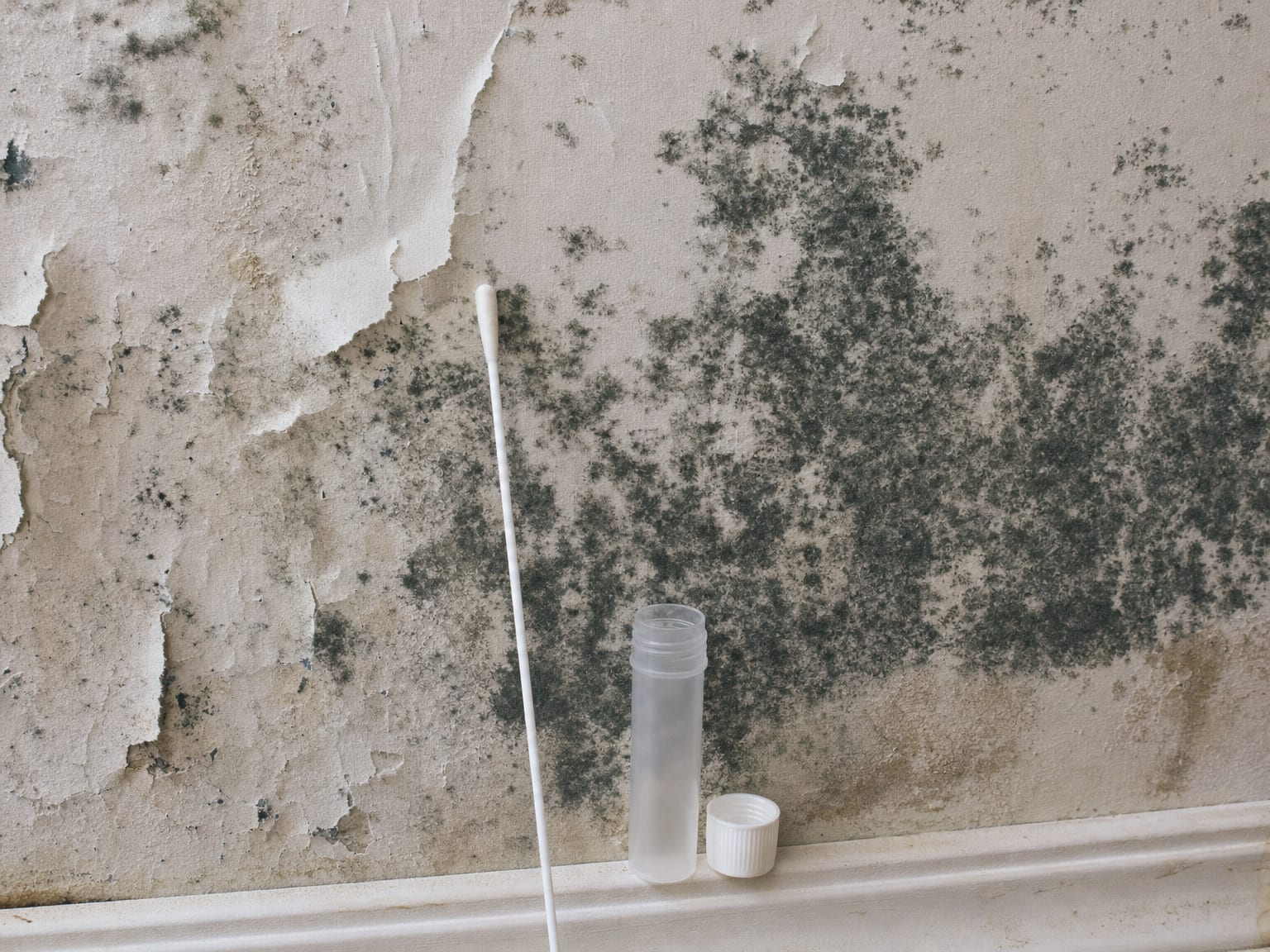 Tape lift sampling kit with clear adhesive strip and petri-style collection plate resting on a bathroom tile wall showing dark grout mold growth
