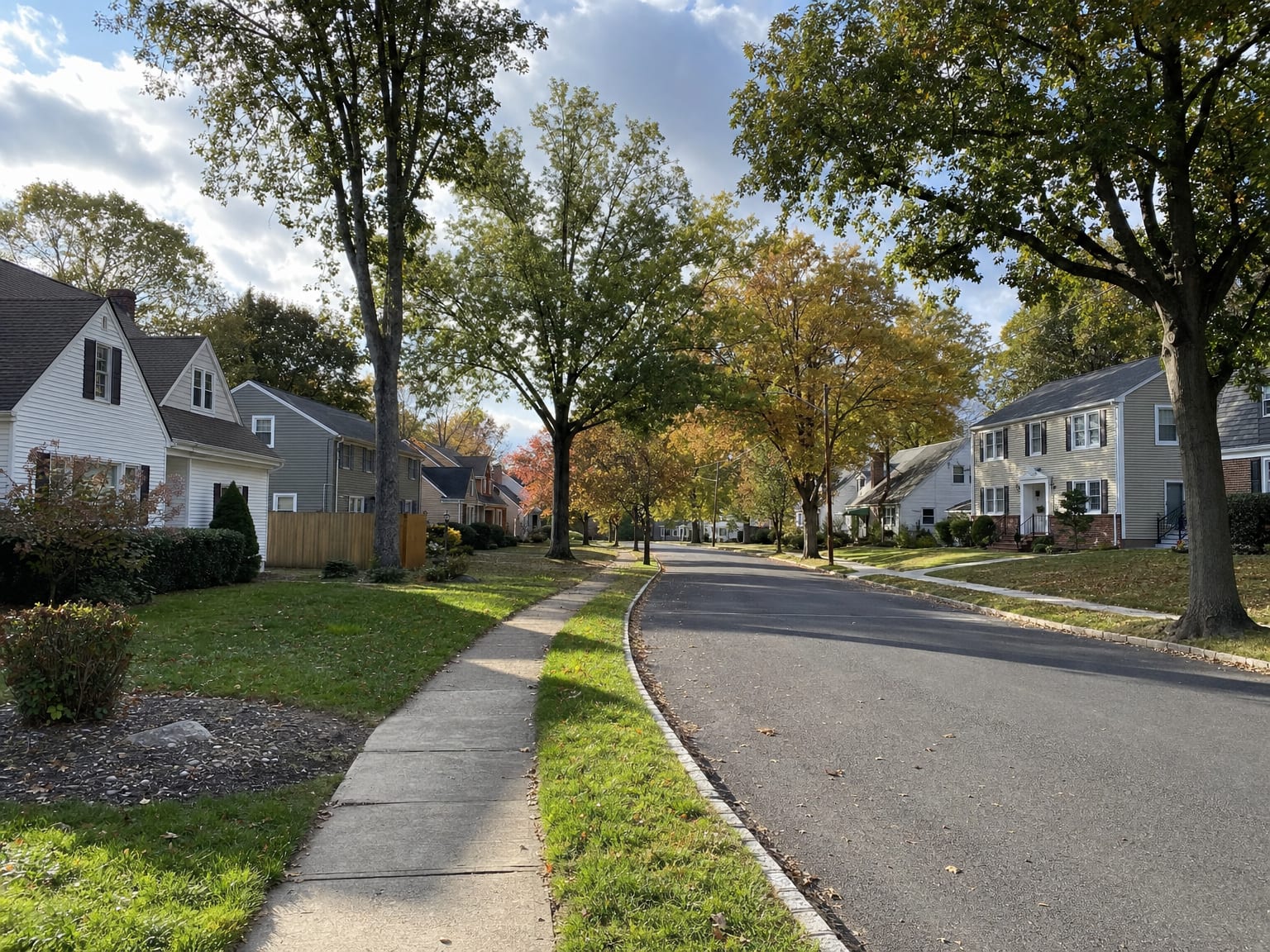 Tree-lined New Jersey suburban street with colonial and cape cod homes in late afternoon light