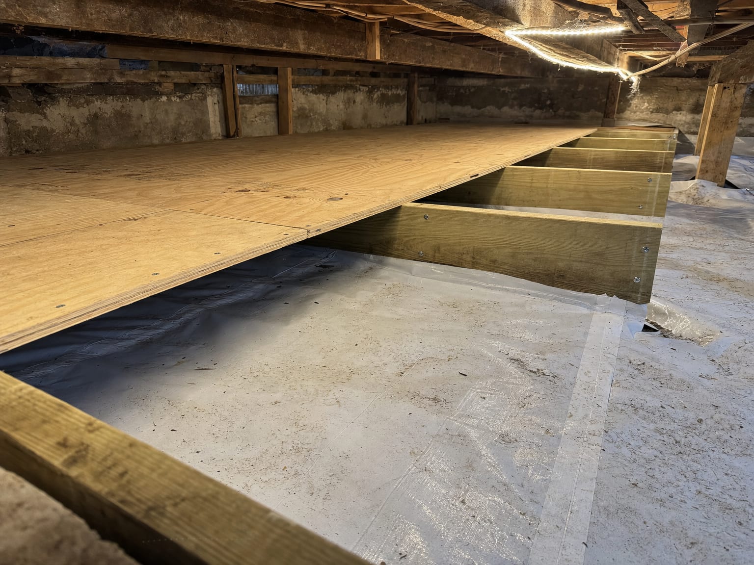 New plywood subfloor panels installed over floor joists in a New Jersey crawl space after structural mold damage removal
