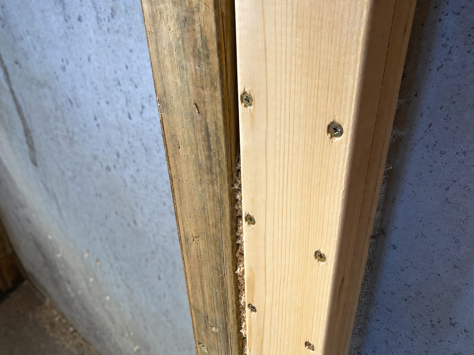 Repaired wood framing studs in a New Jersey basement wall cavity after mold remediation and structural restoration